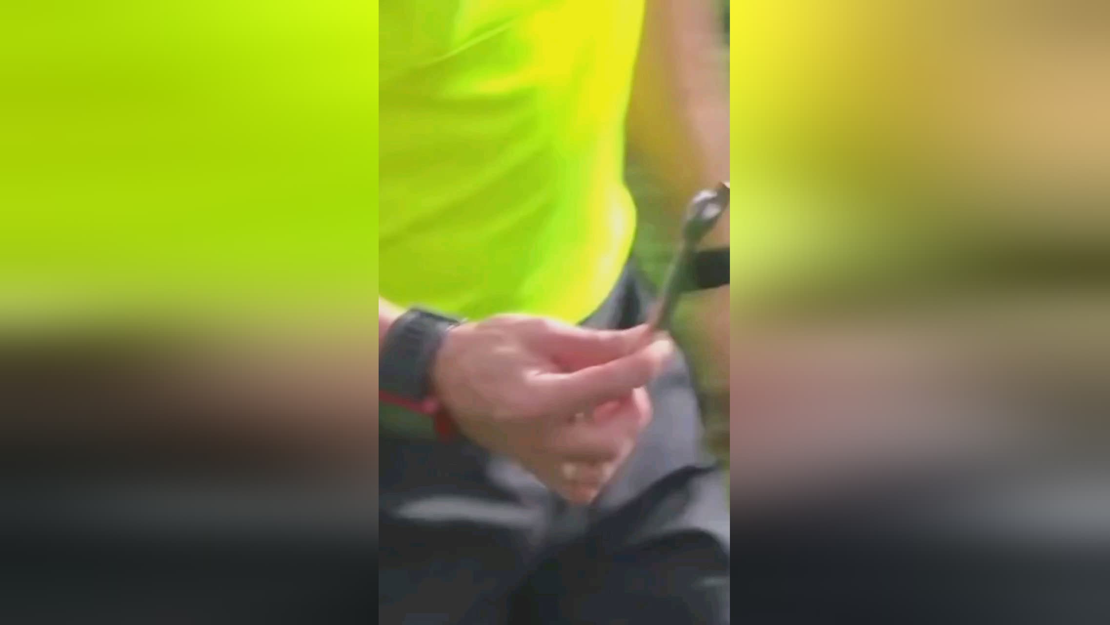 他的非